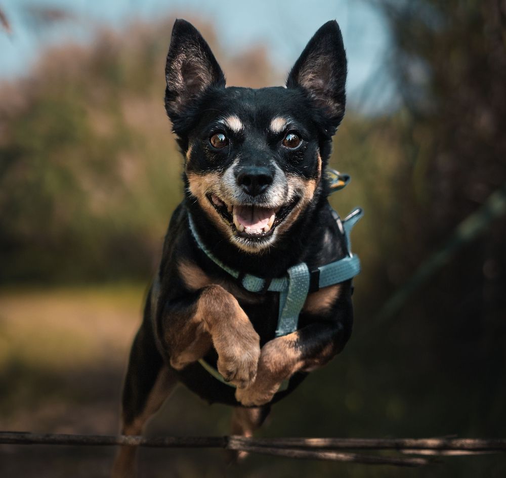 Editorial: February 23, 2024